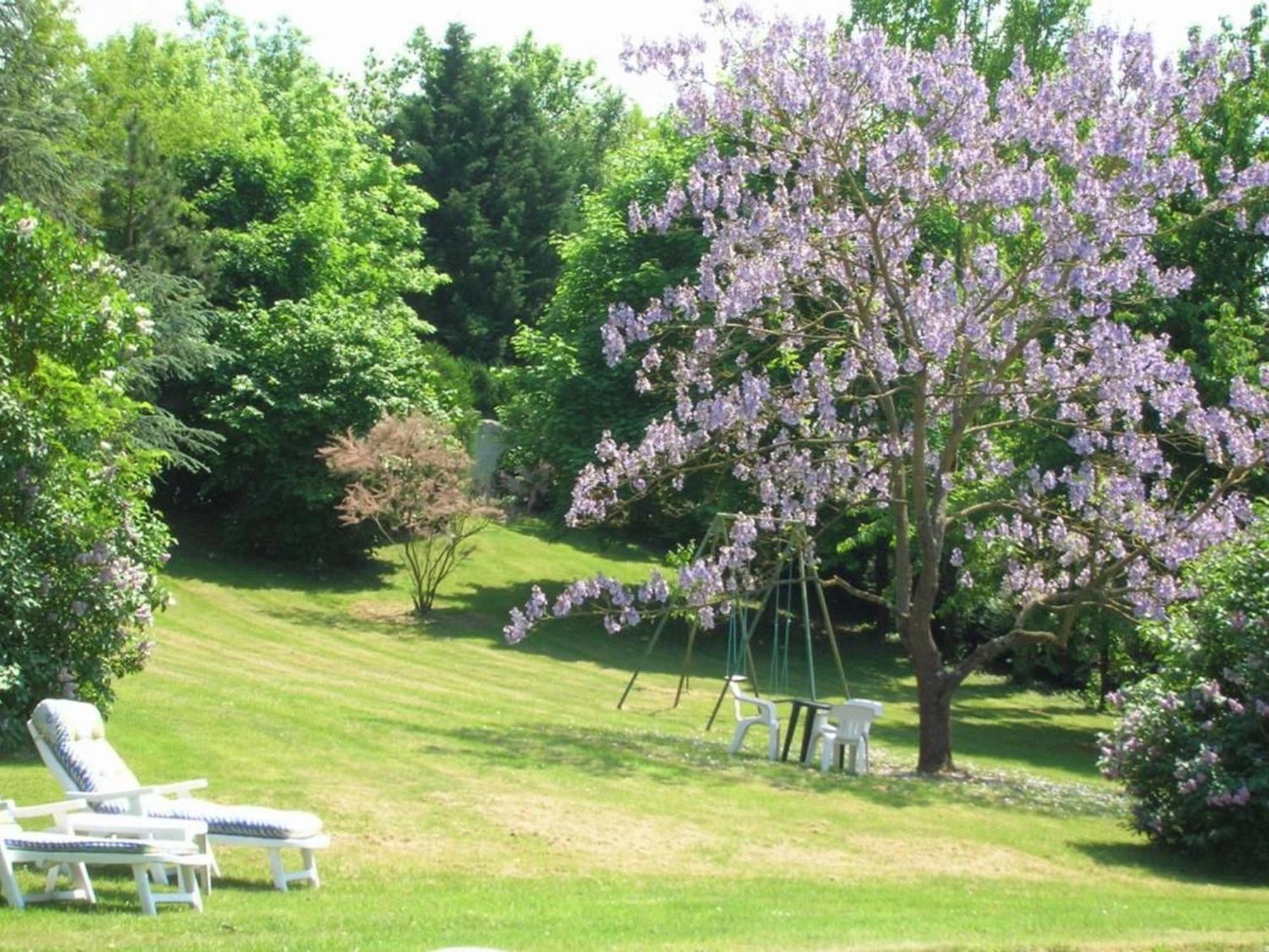 Bed and Breakfast Charme Au Coeur Des Chateaux De La Loire Avec Wifi - Fr-1-590-305 Tavers Zewnętrze zdjęcie